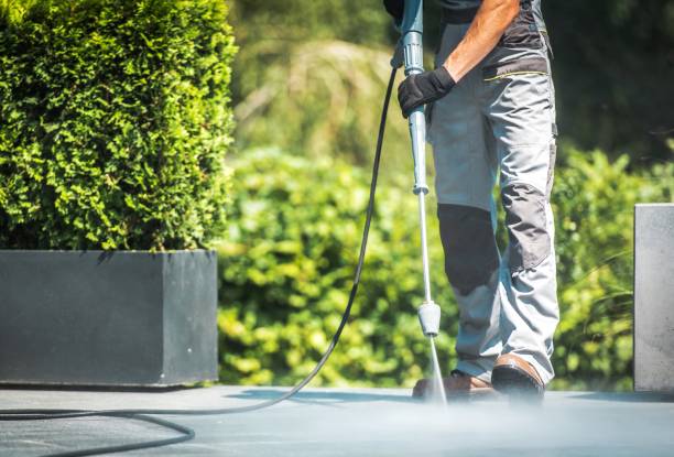 Best Building Exterior Washing  in Shenandoah Junction, WV